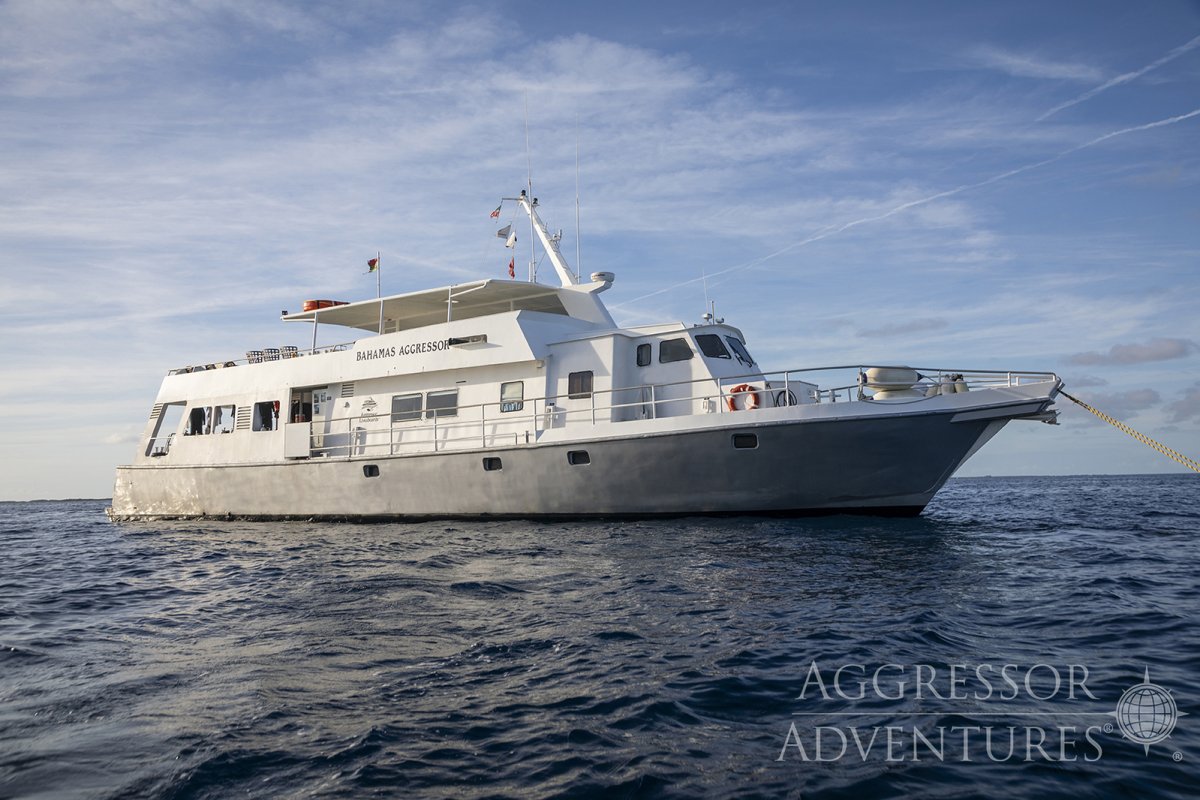 Bahamas Aggressor I